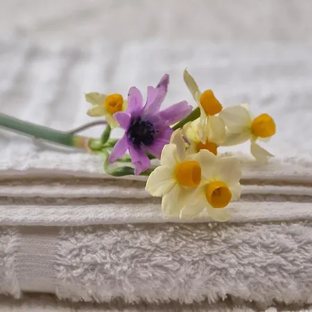 Angel Casa de Férias