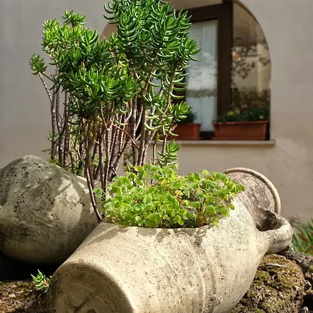 Casa de Férias Angel Sant'Andrea (Sardinia)