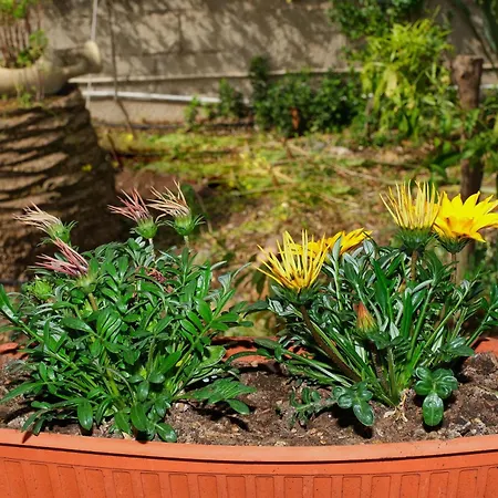 Angel Casa de Férias